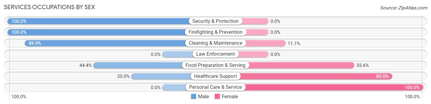 Services Occupations by Sex in Zip Code 19549
