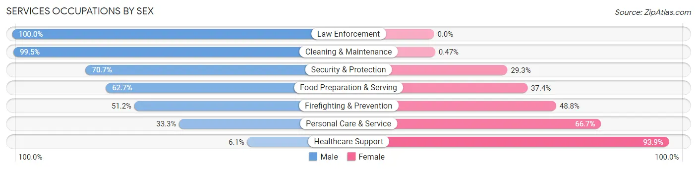Services Occupations by Sex in Zip Code 19810