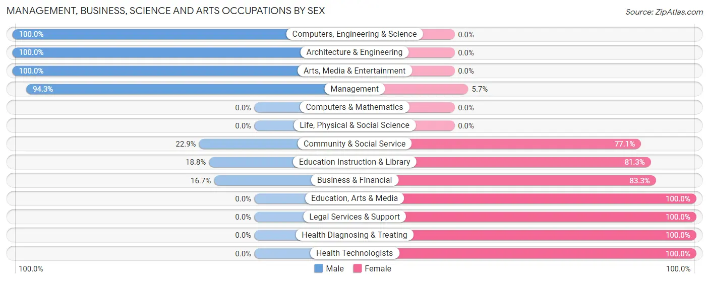 Management, Business, Science and Arts Occupations by Sex in Zip Code 19941