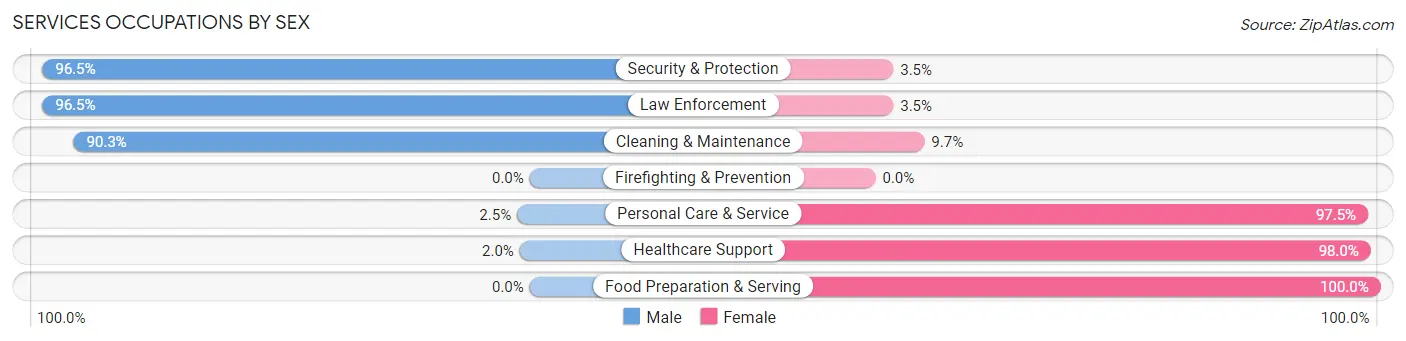 Services Occupations by Sex in Zip Code 19941