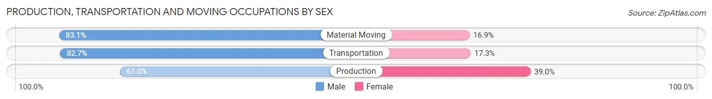Production, Transportation and Moving Occupations by Sex in Zip Code 19950