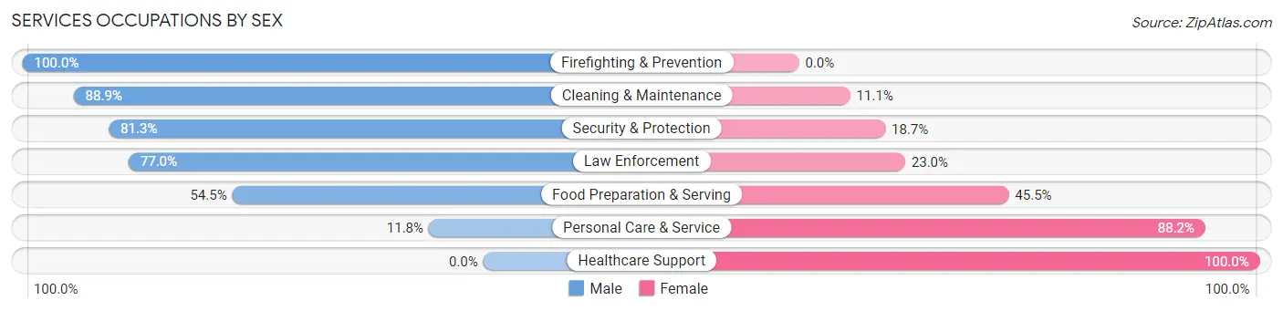 Services Occupations by Sex in Zip Code 19950