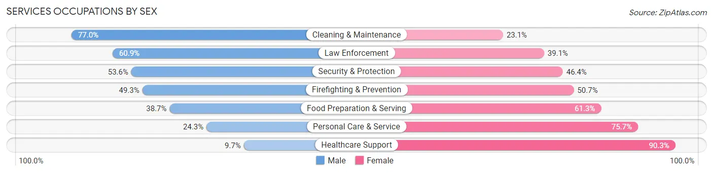 Services Occupations by Sex in Zip Code 19966