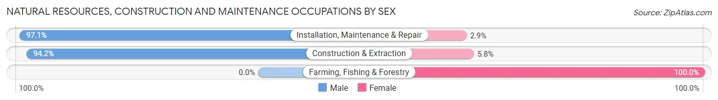 Natural Resources, Construction and Maintenance Occupations by Sex in Zip Code 20019