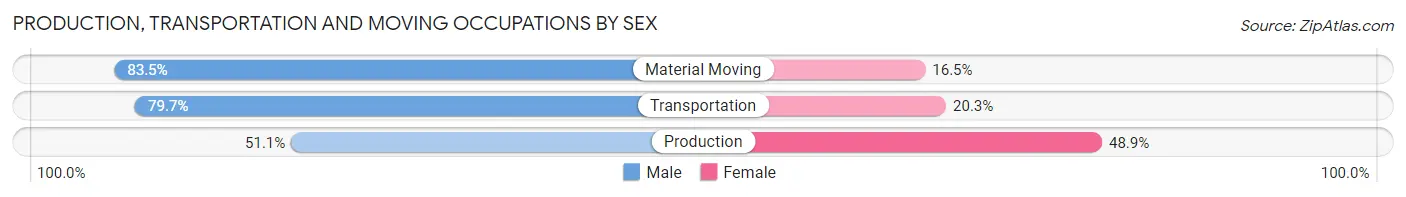 Production, Transportation and Moving Occupations by Sex in Zip Code 20019