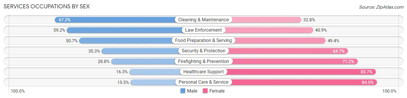Services Occupations by Sex in Zip Code 20019