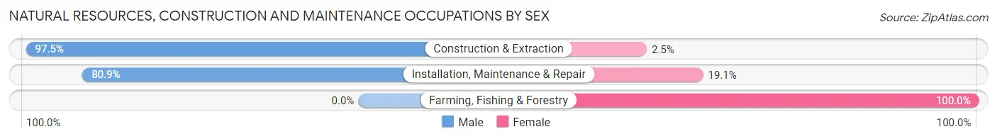 Natural Resources, Construction and Maintenance Occupations by Sex in Zip Code 20032