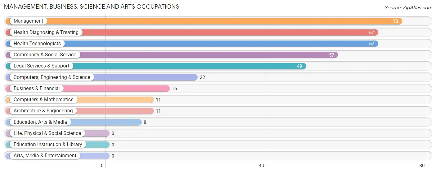 Management, Business, Science and Arts Occupations in Zip Code 20129