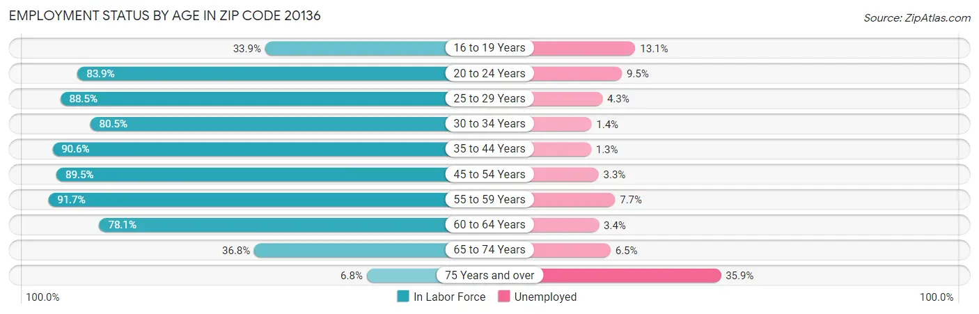 Employment Status by Age in Zip Code 20136