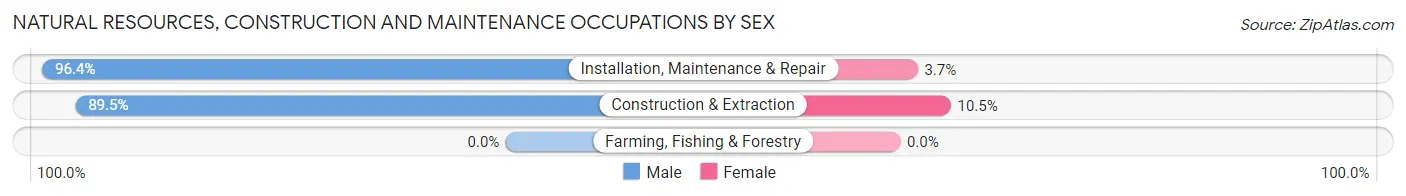 Natural Resources, Construction and Maintenance Occupations by Sex in Zip Code 20136