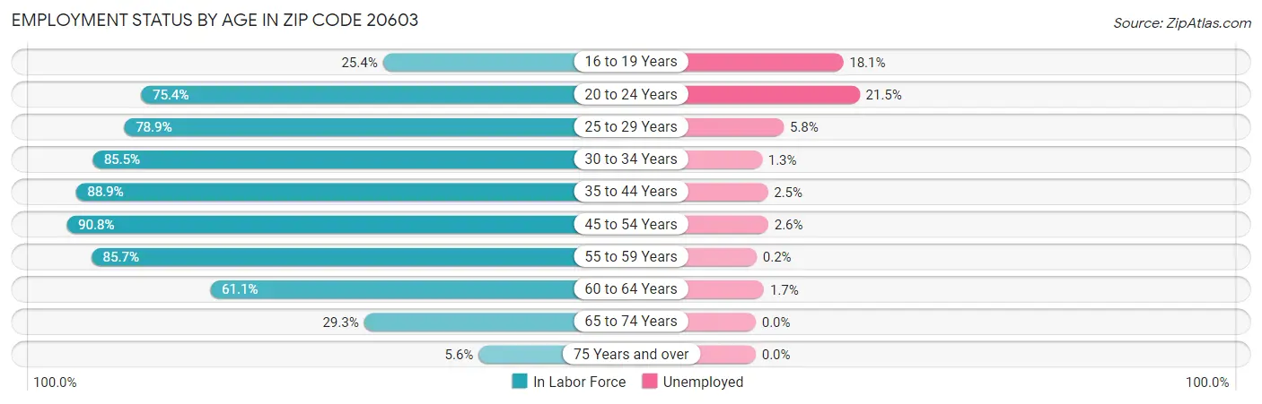Employment Status by Age in Zip Code 20603