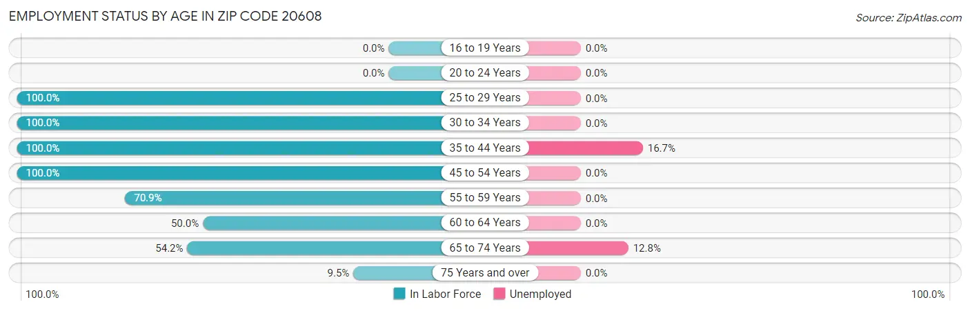 Employment Status by Age in Zip Code 20608
