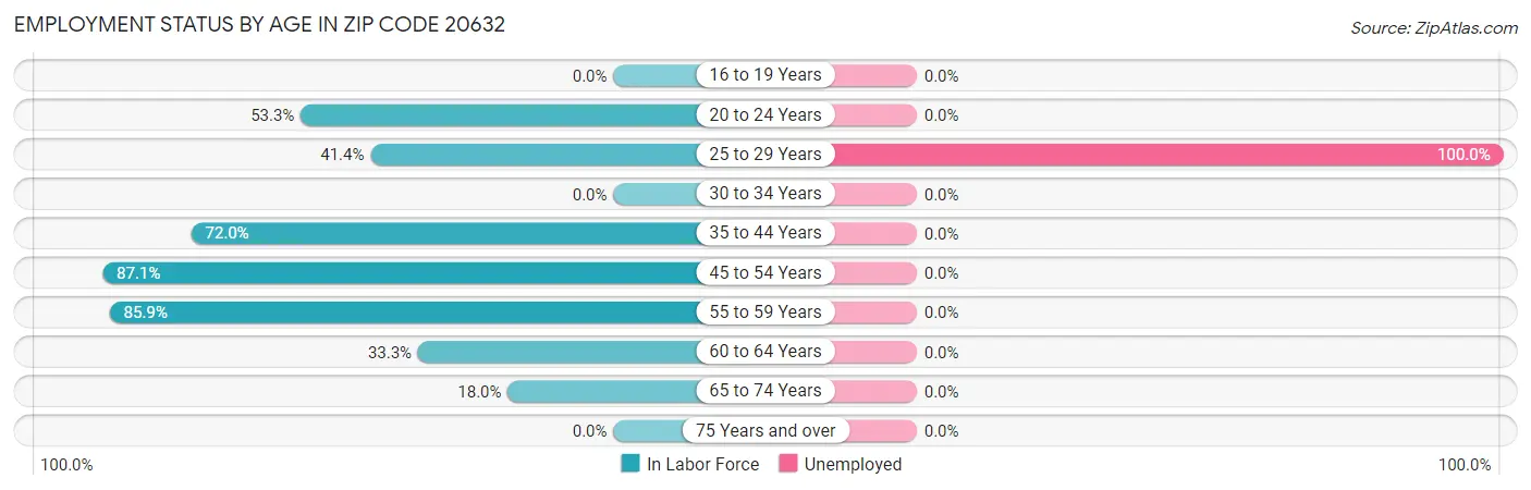 Employment Status by Age in Zip Code 20632