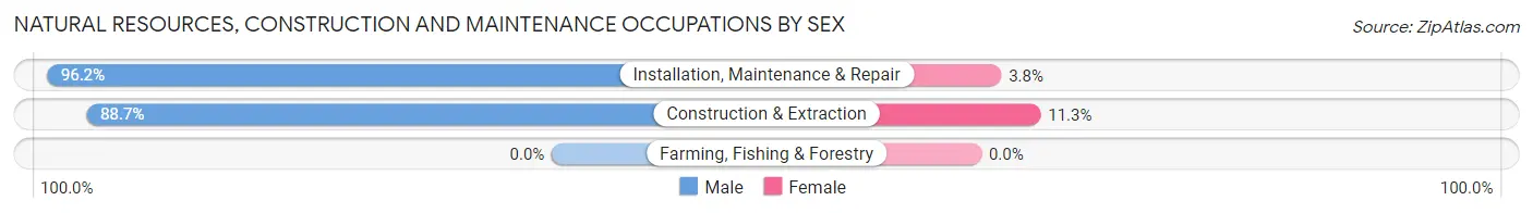 Natural Resources, Construction and Maintenance Occupations by Sex in Zip Code 20653