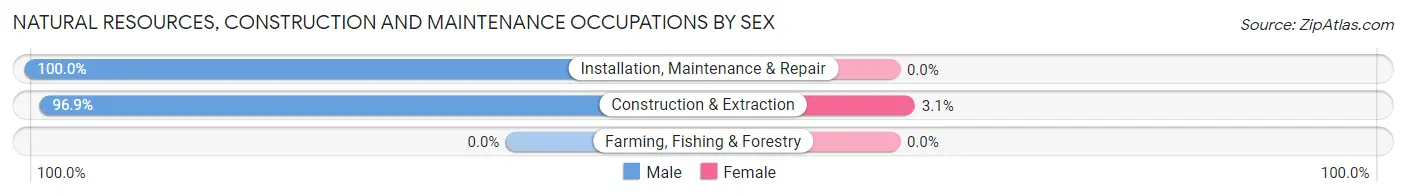 Natural Resources, Construction and Maintenance Occupations by Sex in Zip Code 20685