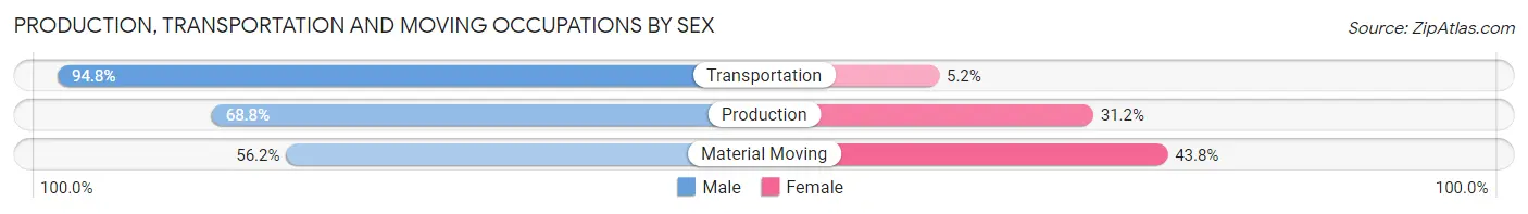 Production, Transportation and Moving Occupations by Sex in Zip Code 20707