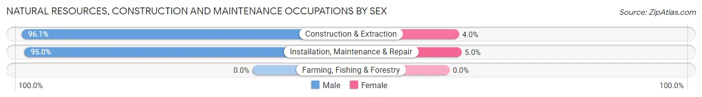 Natural Resources, Construction and Maintenance Occupations by Sex in Zip Code 20737