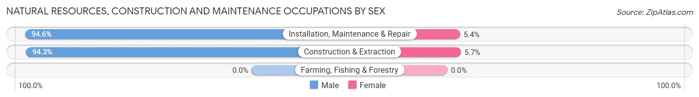 Natural Resources, Construction and Maintenance Occupations by Sex in Zip Code 20743