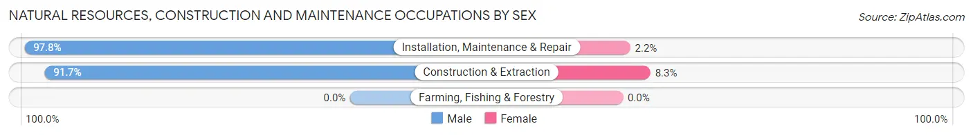 Natural Resources, Construction and Maintenance Occupations by Sex in Zip Code 20747