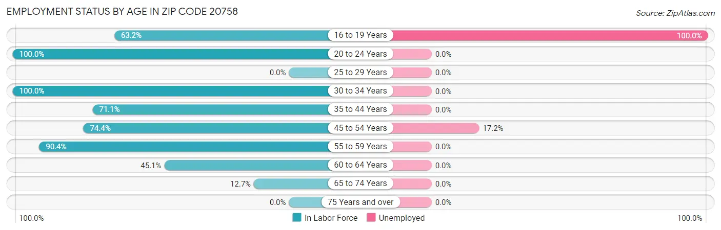 Employment Status by Age in Zip Code 20758