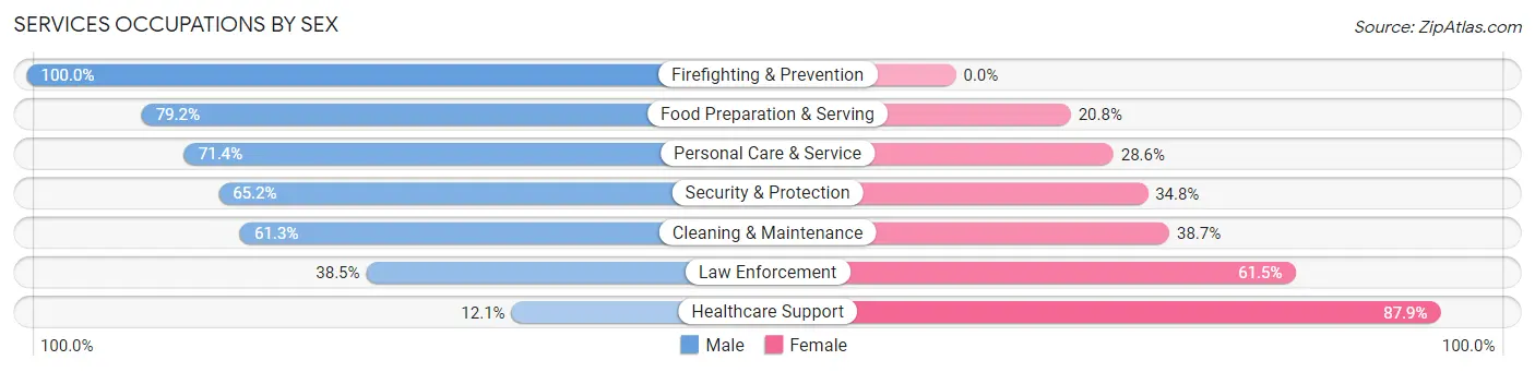 Services Occupations by Sex in Zip Code 20762