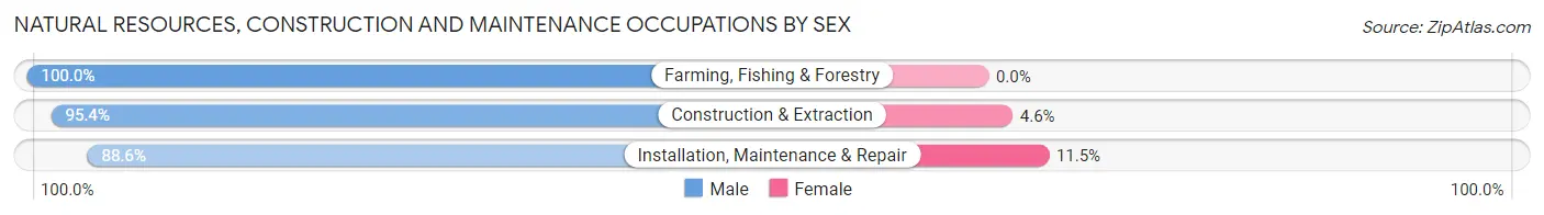 Natural Resources, Construction and Maintenance Occupations by Sex in Zip Code 20782