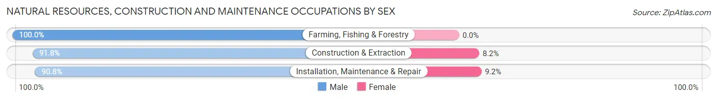 Natural Resources, Construction and Maintenance Occupations by Sex in Zip Code 21128