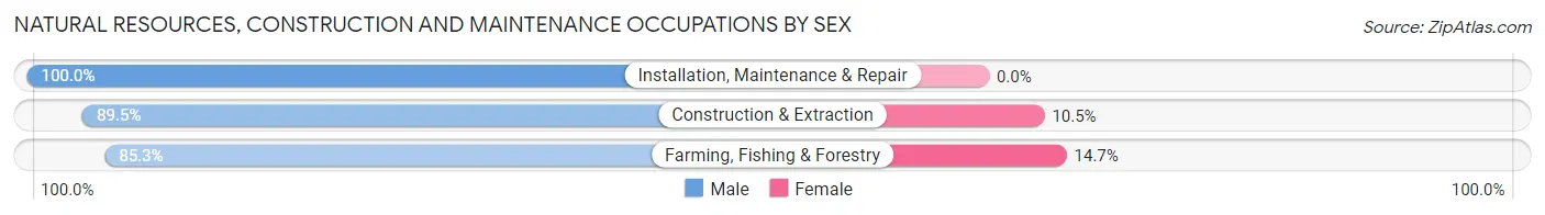 Natural Resources, Construction and Maintenance Occupations by Sex in Zip Code 21158