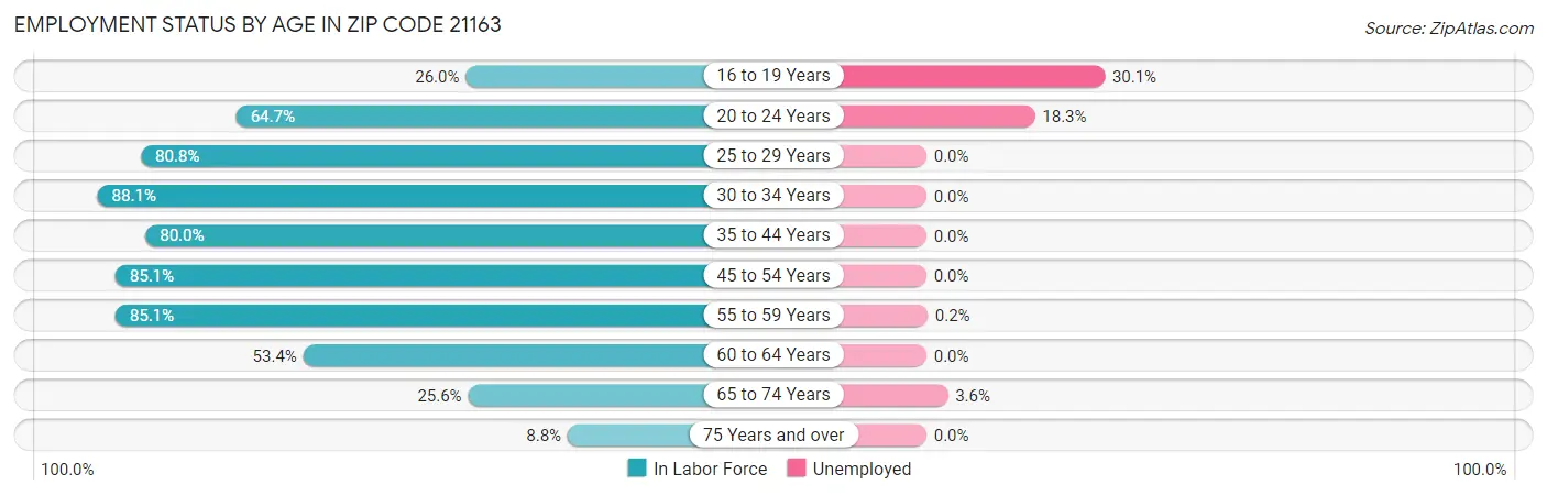 Employment Status by Age in Zip Code 21163