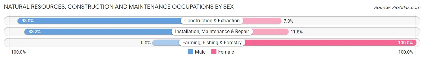 Natural Resources, Construction and Maintenance Occupations by Sex in Zip Code 21207