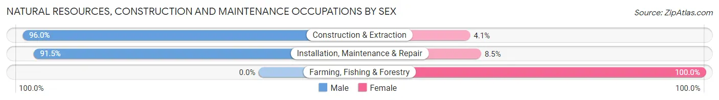 Natural Resources, Construction and Maintenance Occupations by Sex in Zip Code 21214