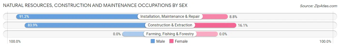 Natural Resources, Construction and Maintenance Occupations by Sex in Zip Code 21215