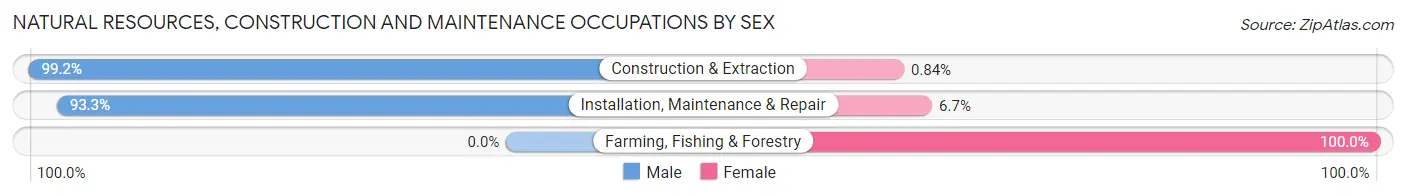 Natural Resources, Construction and Maintenance Occupations by Sex in Zip Code 21225