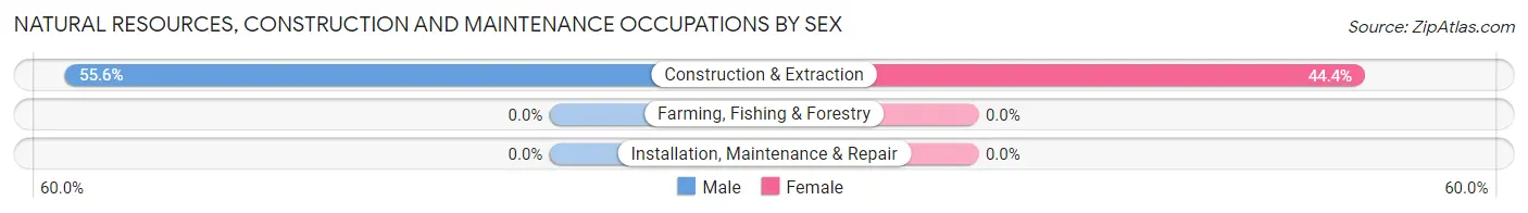 Natural Resources, Construction and Maintenance Occupations by Sex in Zip Code 21250