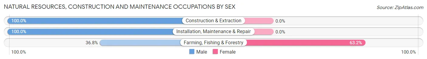 Natural Resources, Construction and Maintenance Occupations by Sex in Zip Code 21643