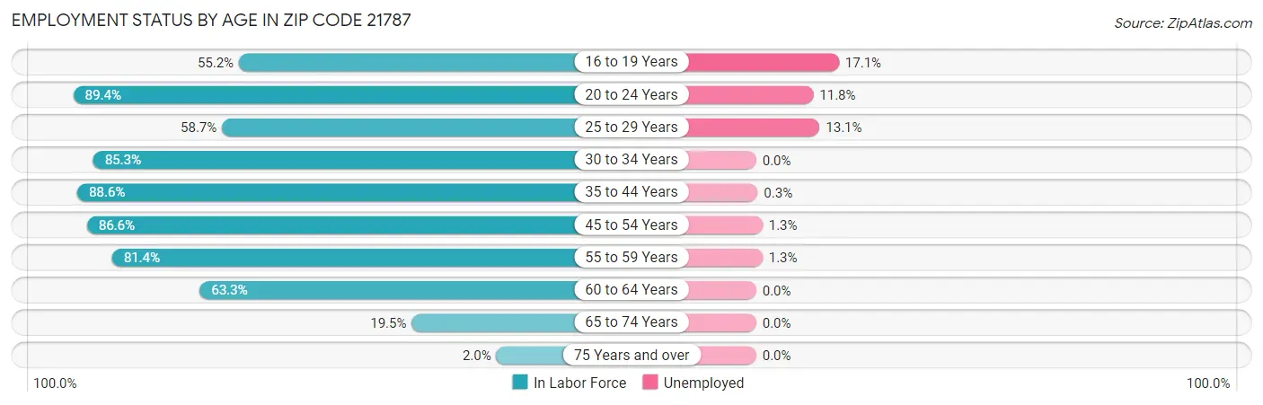 Employment Status by Age in Zip Code 21787