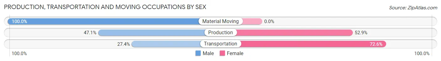 Production, Transportation and Moving Occupations by Sex in Zip Code 21822