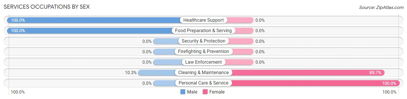Services Occupations by Sex in Zip Code 21822