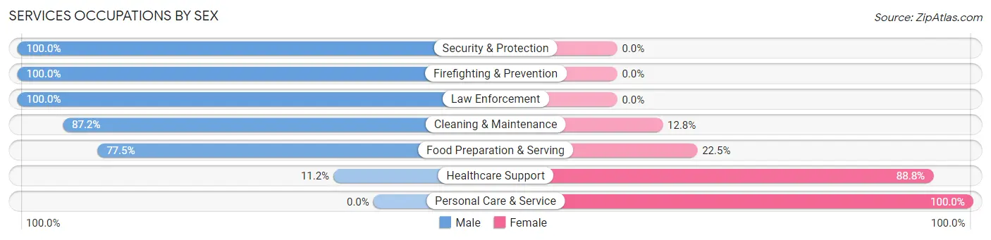 Services Occupations by Sex in Zip Code 21826