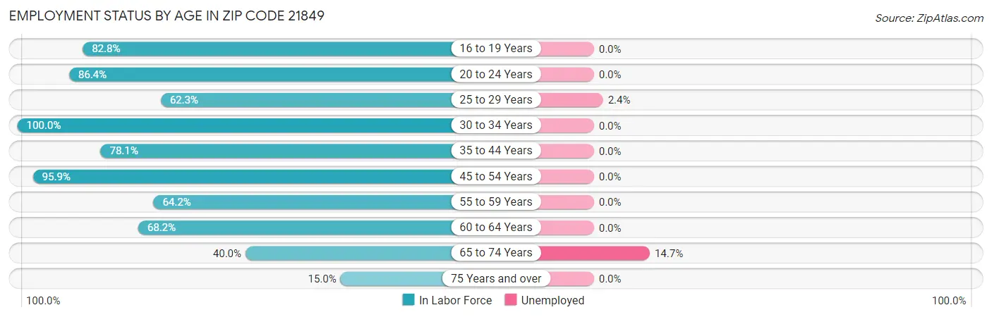 Employment Status by Age in Zip Code 21849