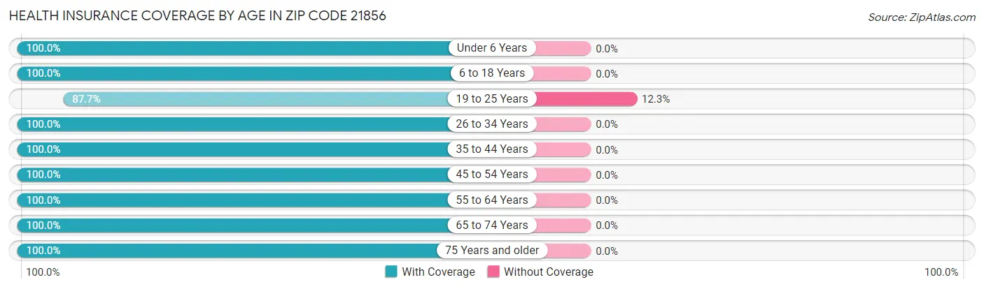 Health Insurance Coverage by Age in Zip Code 21856