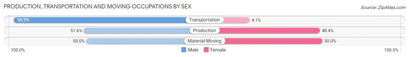 Production, Transportation and Moving Occupations by Sex in Zip Code 21869
