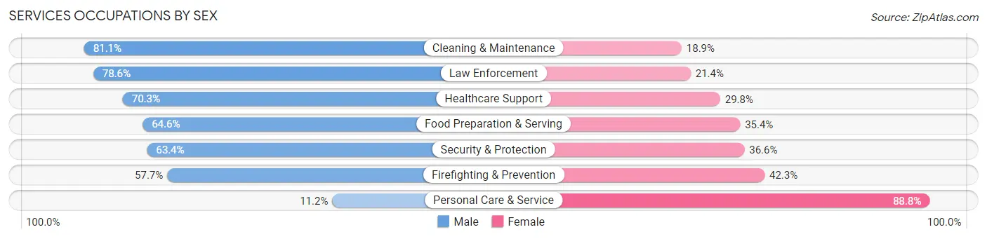 Services Occupations by Sex in Zip Code 22102