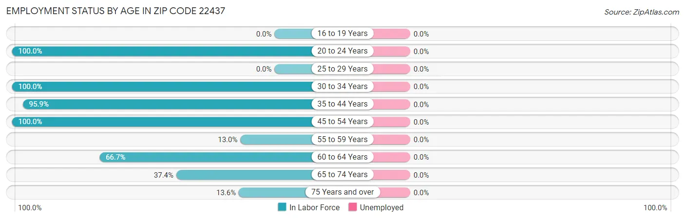 Employment Status by Age in Zip Code 22437