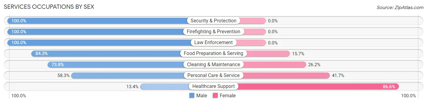 Services Occupations by Sex in Zip Code 22728