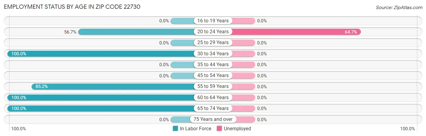 Employment Status by Age in Zip Code 22730