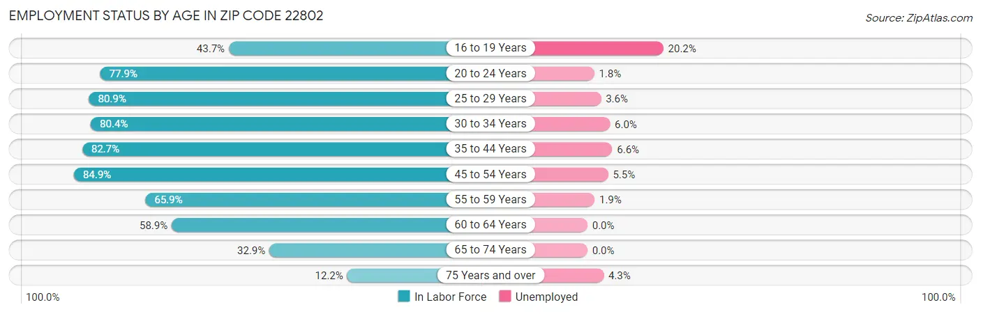 Employment Status by Age in Zip Code 22802