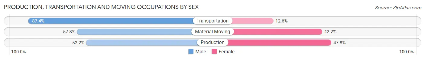Production, Transportation and Moving Occupations by Sex in Zip Code 22802