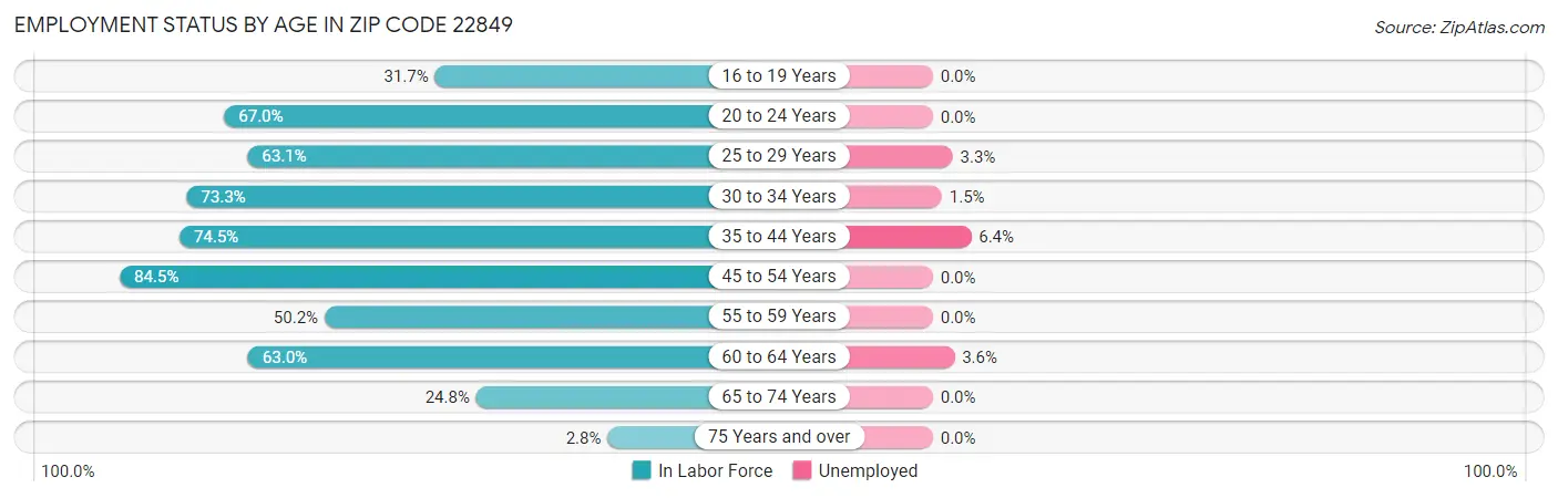Employment Status by Age in Zip Code 22849