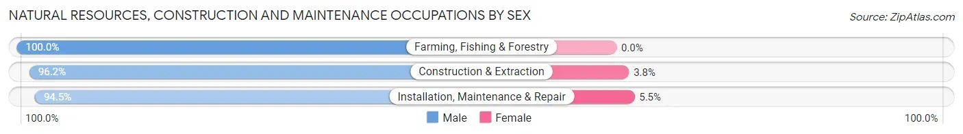 Natural Resources, Construction and Maintenance Occupations by Sex in Zip Code 22902
